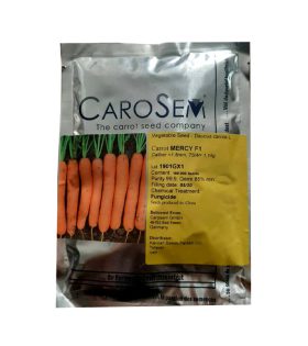 بذر هویج مرسی کاروسم المان2