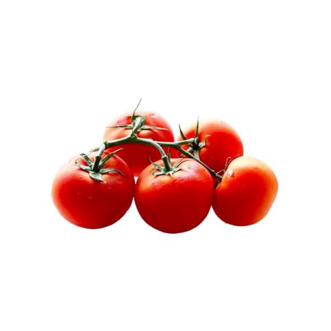 بذر گوجه فرنگی ازمیر