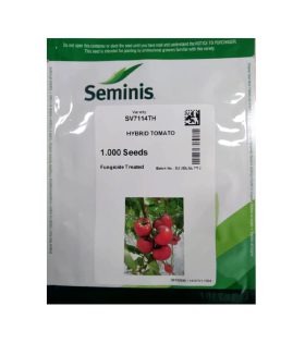 بذر گوجه گلخانه ای 7114 سمینیس