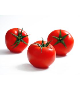 گوجه فرنگی برنتا سمینیس