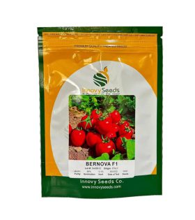 بذر گوجه فرنگی برنووا ایتالیا03