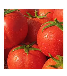 بذر گوجه فرنگی هیبرید تیوا F1 03