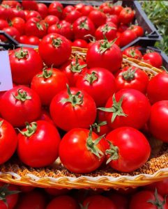 بذر گوجه فرنگی هیبرید تیوا F1