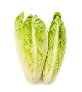بذر کاهو رسمی Lettuce