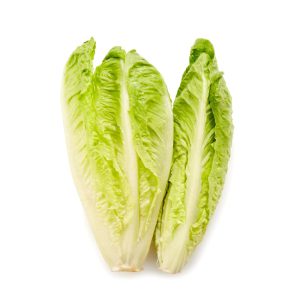 بذر کاهو رسمی Lettuce